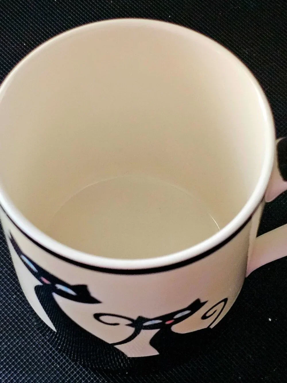 HUES N BREWS ~ Black Cat Coffee/Tea Mug ~ CREAM ~ Siamese  Kitty Tea Strainer In